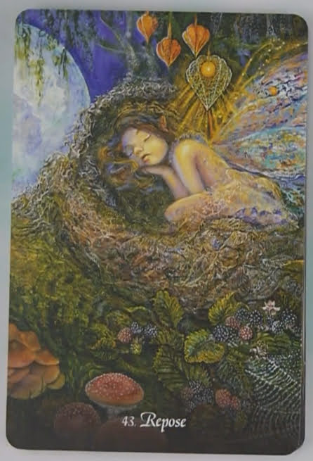 Gratitude Oracle
